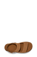 W Goldenstar Glide - Chestnut
