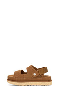 W Goldenstar Glide - Chestnut