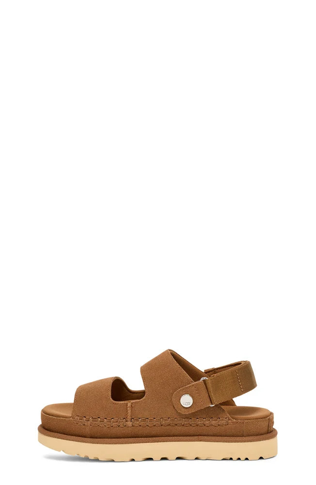 W Goldenstar Glide - Chestnut