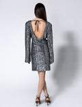 Sandra Dress - Silver