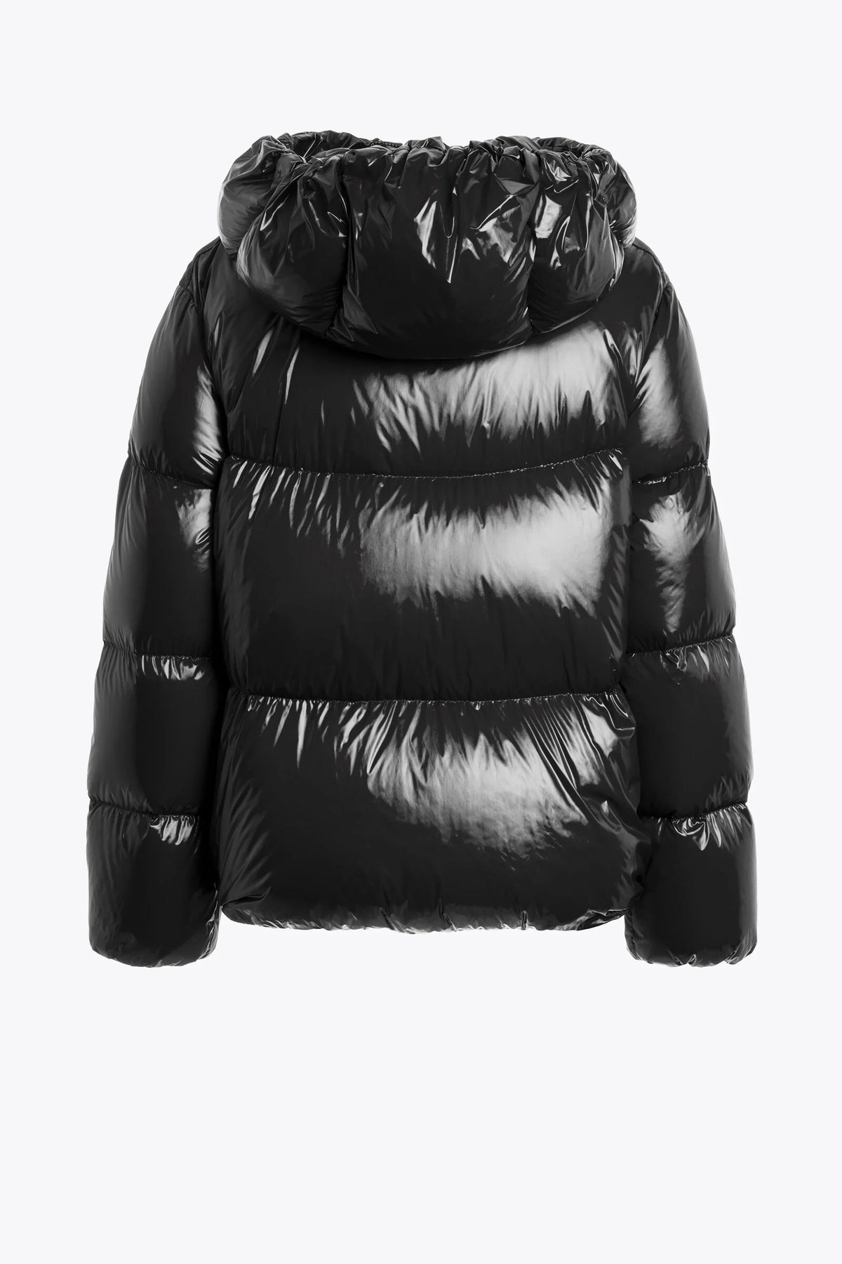 Water Lily - Black