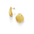 Ocean Treasure Örhängen - Guld