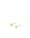 Studs Örhängen 6 mm - Guld