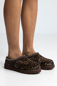 W Tasman Caspian - Burnt Cedar