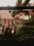 Vesta Ring - Gold