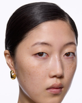 Dolphin Earring Small - Guld