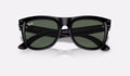 Ray-Ban Wayfarer Reverse Solglasögon