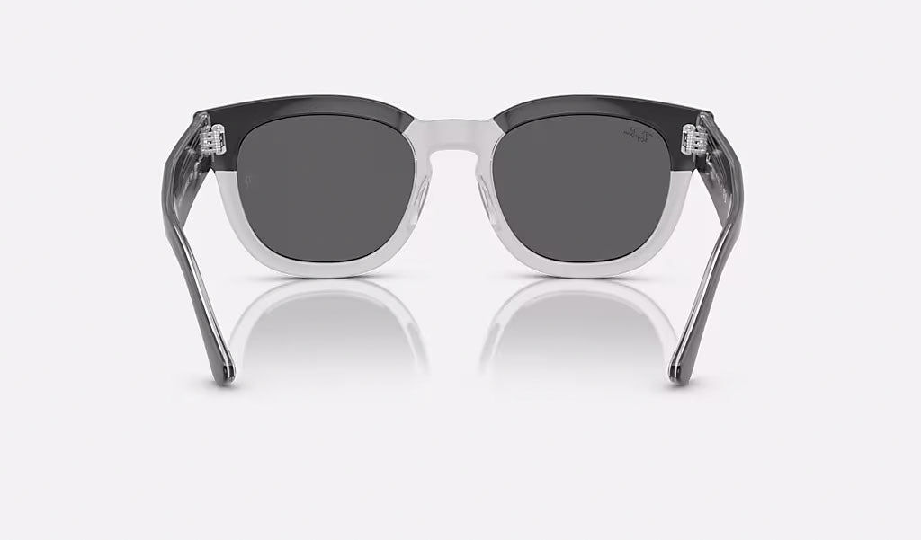 Ray-Ban Mega Hawkeye solglasögon