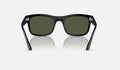 Ray-Ban RB4428 Solglasögon - Svart