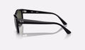 Ray-Ban RB4428 Solglasögon - Svart