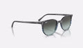 Ray-Ban Elliot Solglasögon