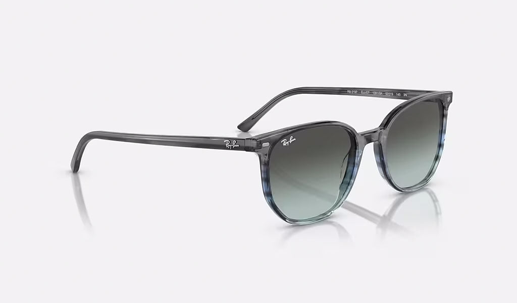 Ray-Ban Elliot Solglasögon