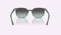 Ray-Ban Elliot Solglasögon