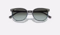 Ray-Ban Elliot Solglasögon