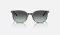 Ray-Ban Elliot Solglasögon