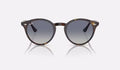 RB2180 - Light Havana - Light Grey Gradient Dark Blue