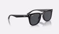 Ray-Ban RB4420 - Svart - Mörkgrå
