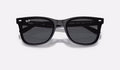 Ray-Ban RB4420 - Svart - Mörkgrå