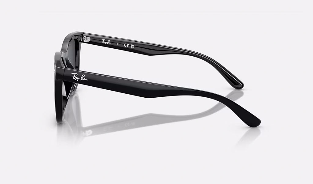 Ray-Ban RB4420 - Svart - Mörkgrå