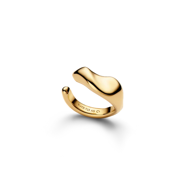 Saddle Ear Cuff - Gold