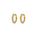 Small Stone Covered Hoops