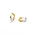 Lyn - Gold and Silver Duo Örhängen