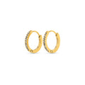 Nilea Crystal Hoop Earrings - Guld