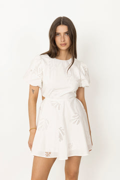 Celest - Blanc Casse