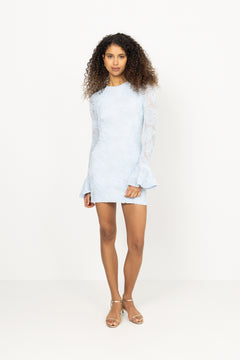 Mesh Frill Mini Dress - Plein Air