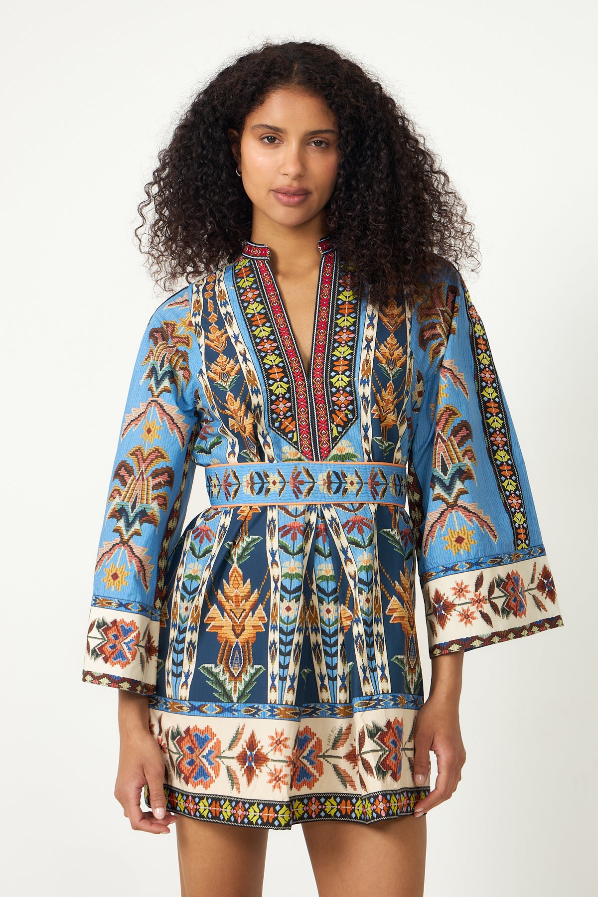 Mini Dress - Embroidered Tapestry Blue