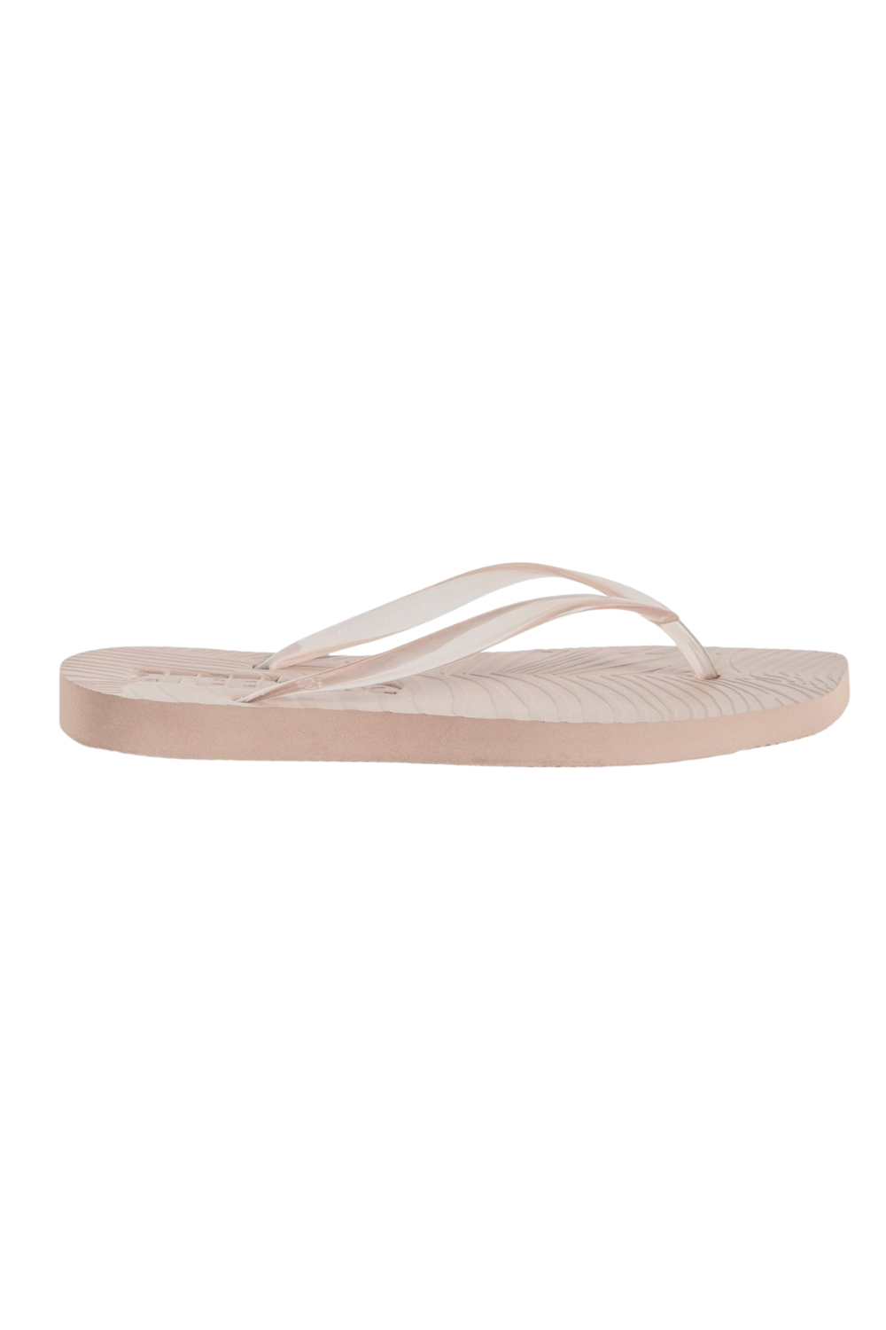 Tapered - Eggnog Clear Transparent