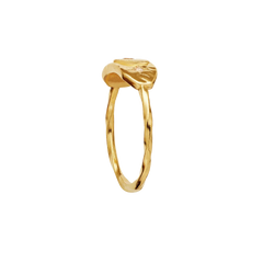 Amarit Ring - Gold