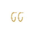 Arlette Örhängen - Guld