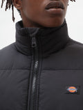 Waldenburg - Black