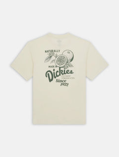 Raven Tee Ss - Cloud