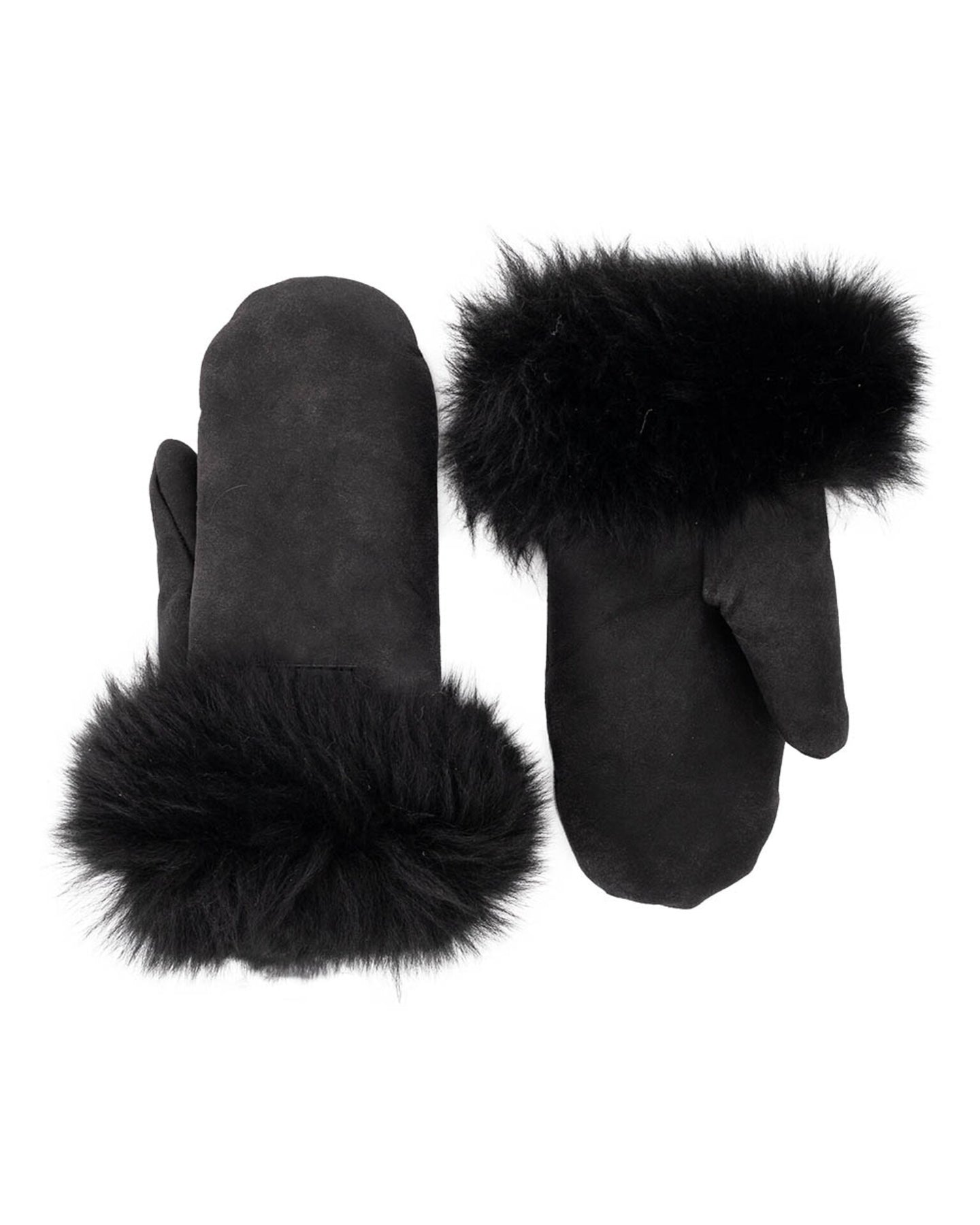 Cortina Votter - Matt Black