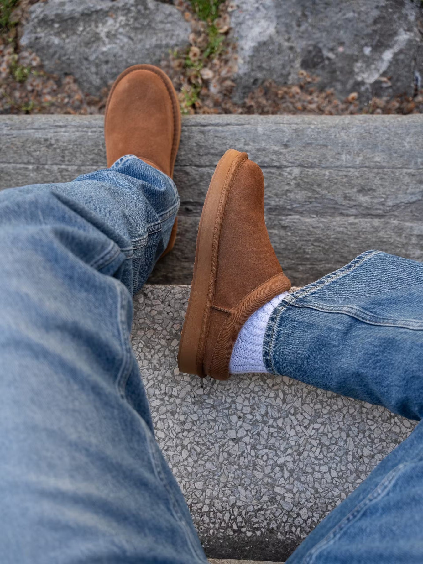 Cabot - Camel