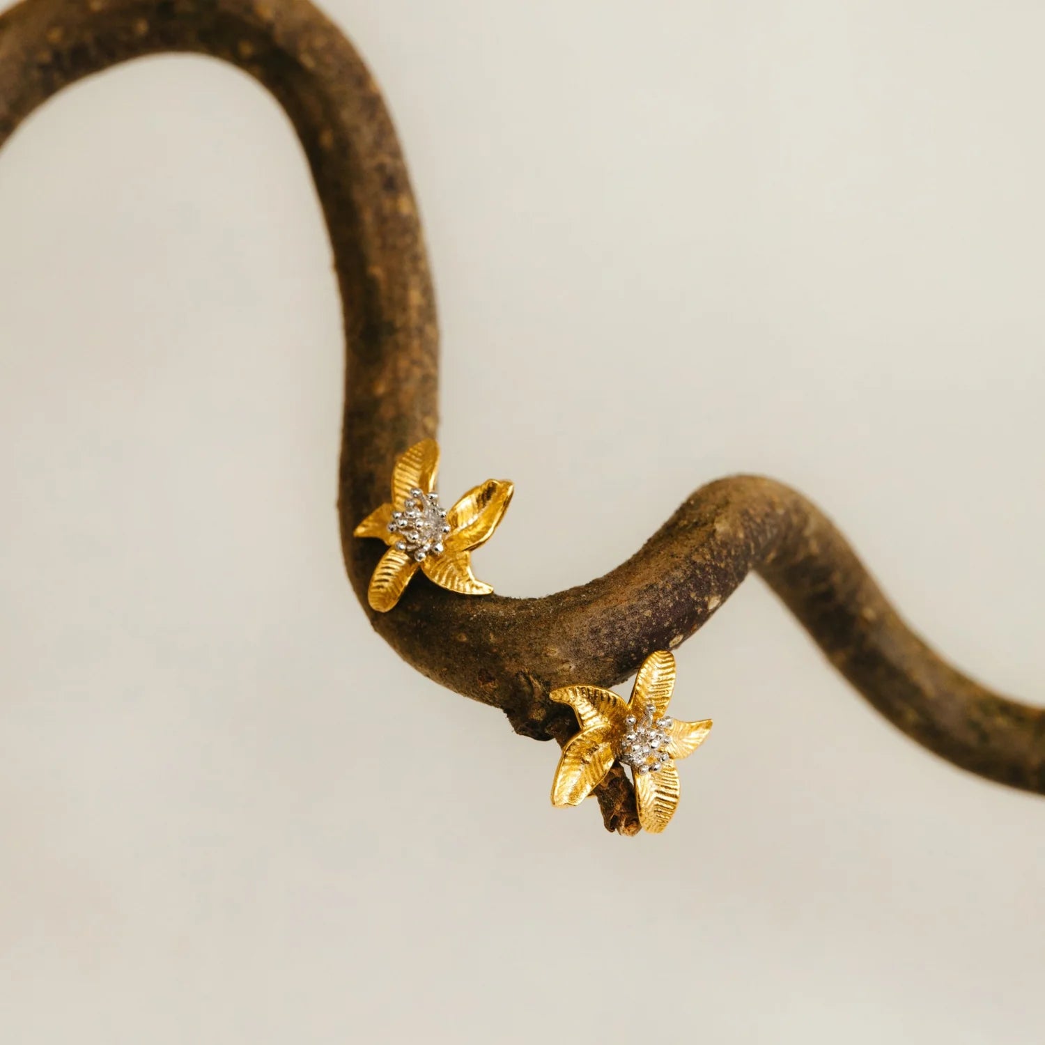 Textured Flower Stud Earring - Gold