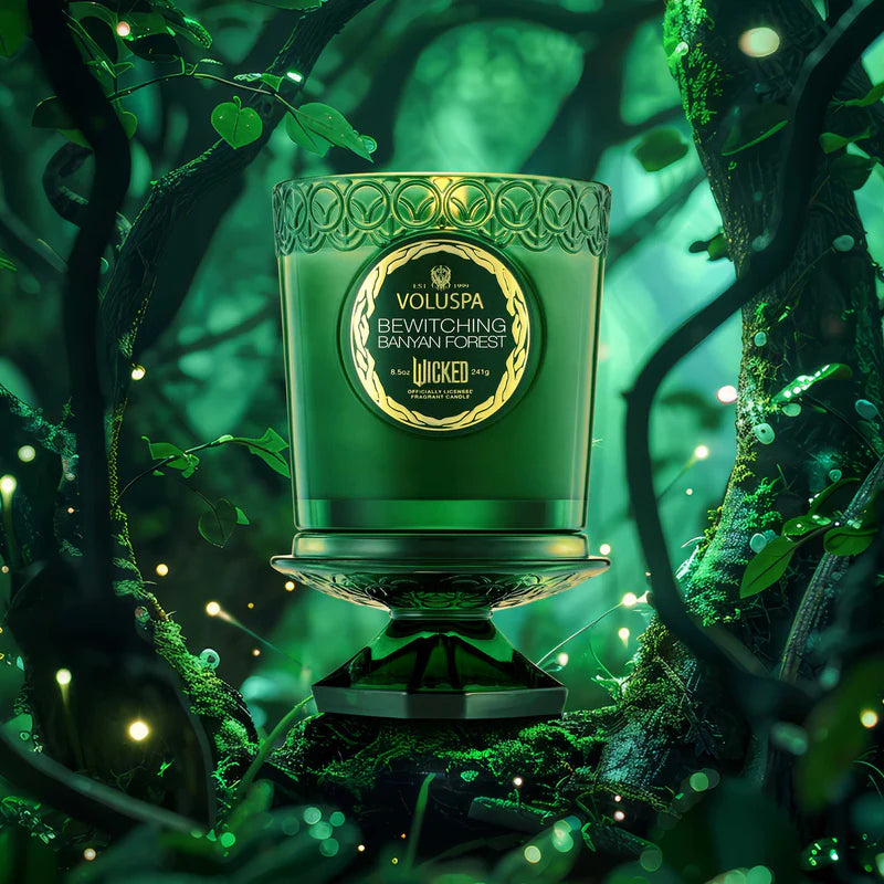 Boxed Candle - Bewitching Banyan Forest
