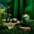 Boxed Candle - Bewitching Banyan Forest