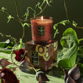 Classic Boxed Candle - Forbidden Fig