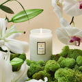 Voluspa Small Jar Candle - Mokara