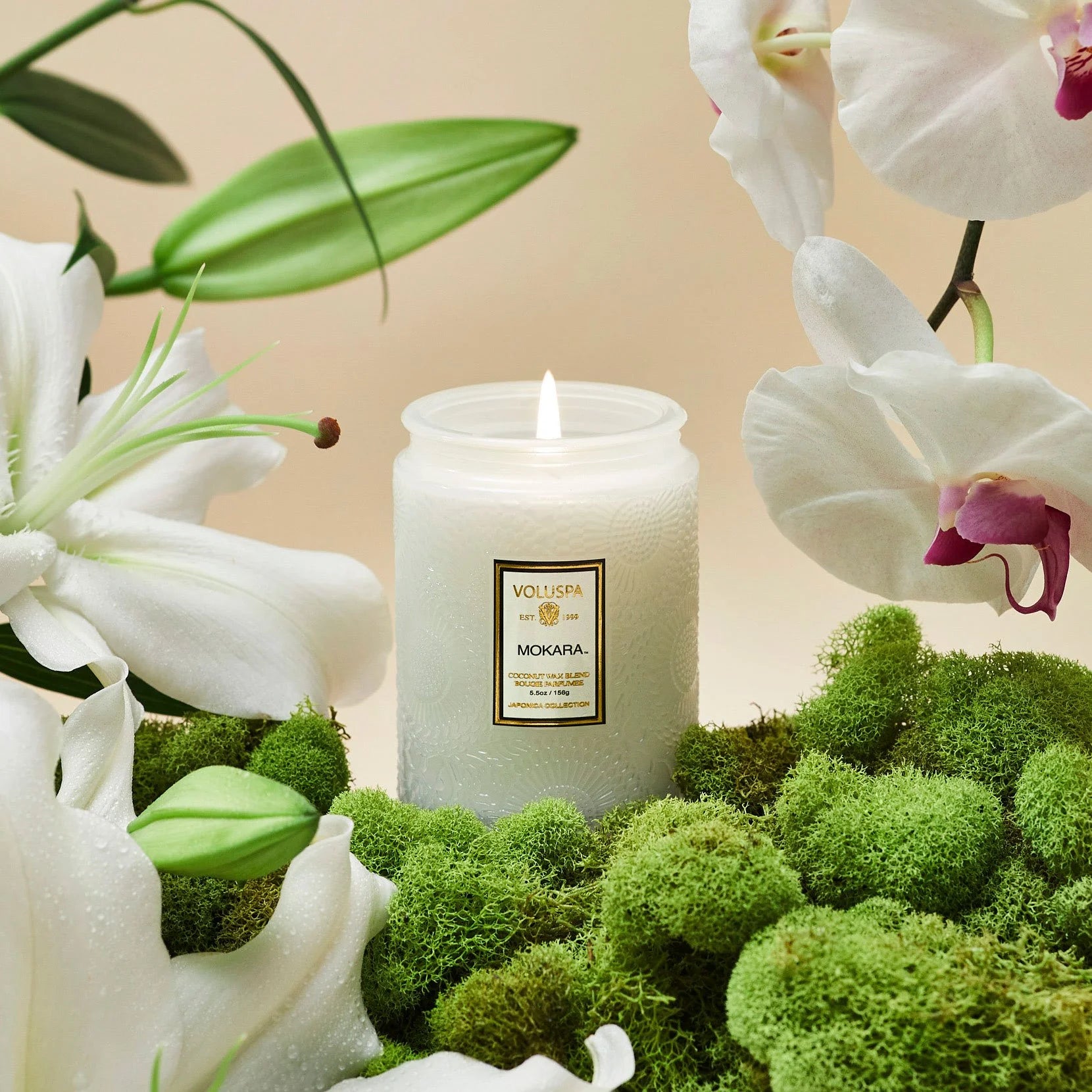 Voluspa Small Jar Candle - Mokara