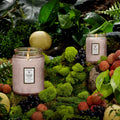Large Jar Candle - Panjoree Lychee