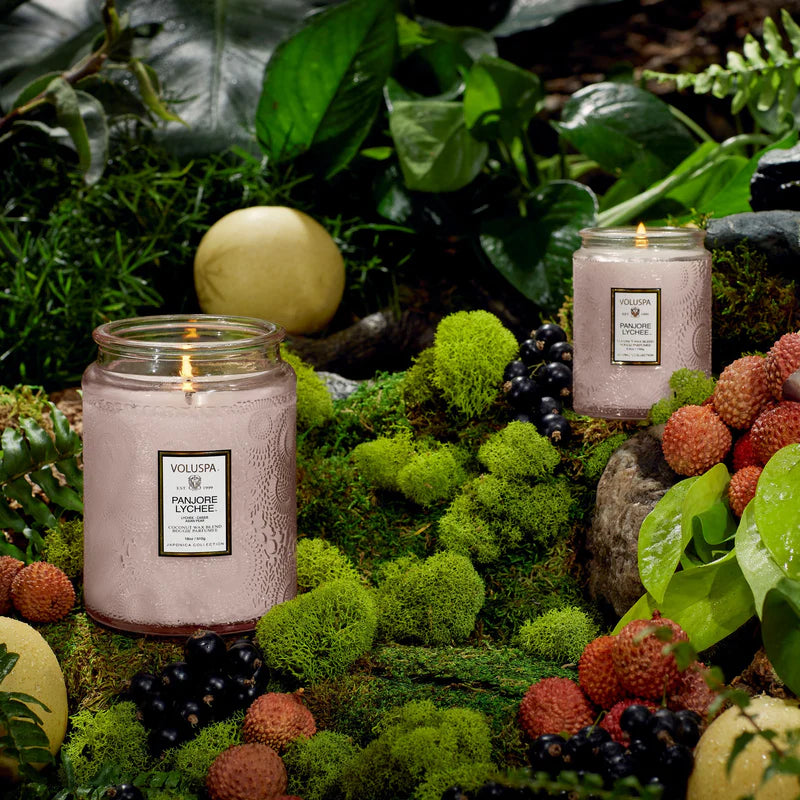 Large Jar Candle - Panjoree Lychee
