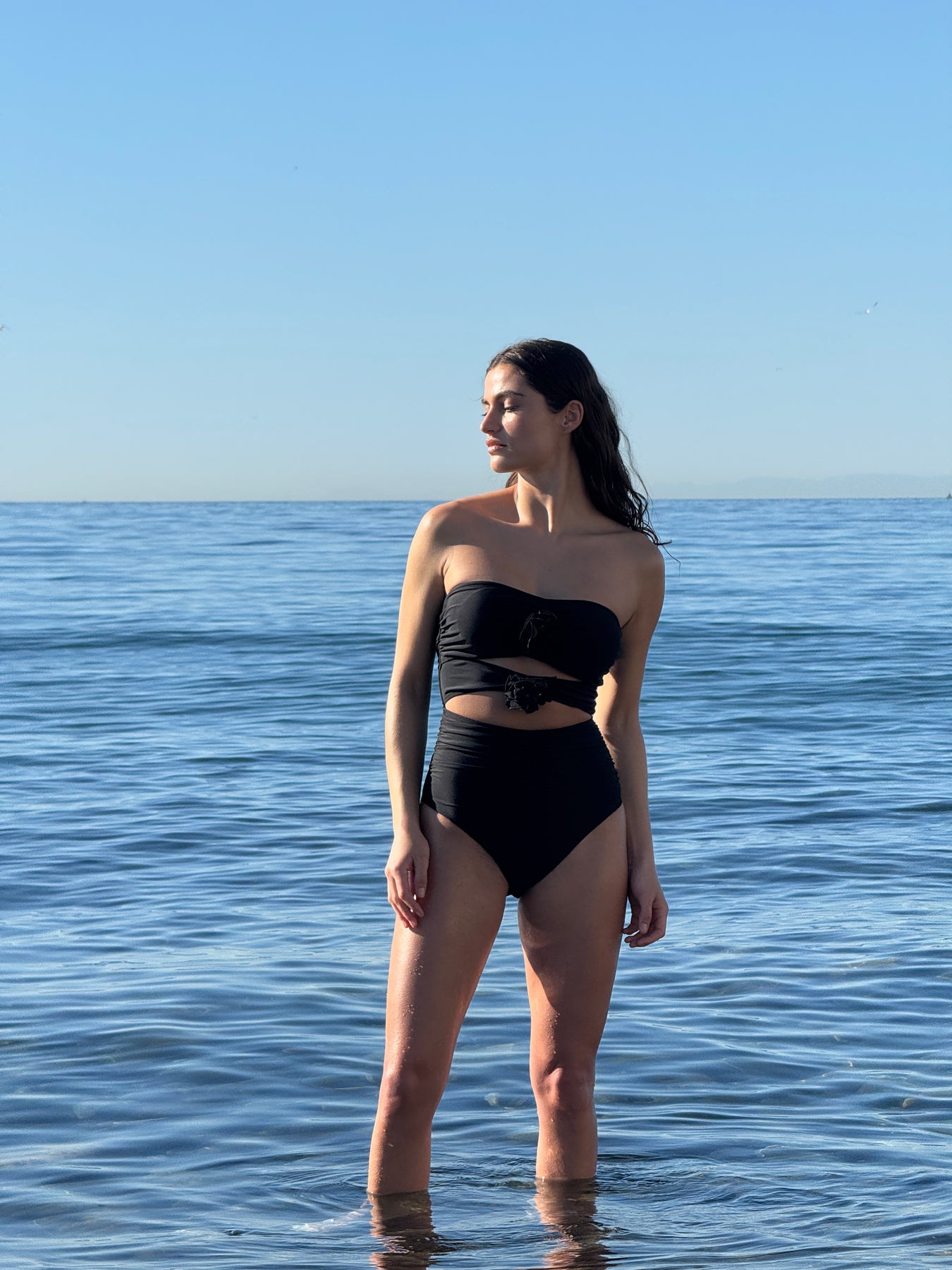 Flower Swimsuit - Svart