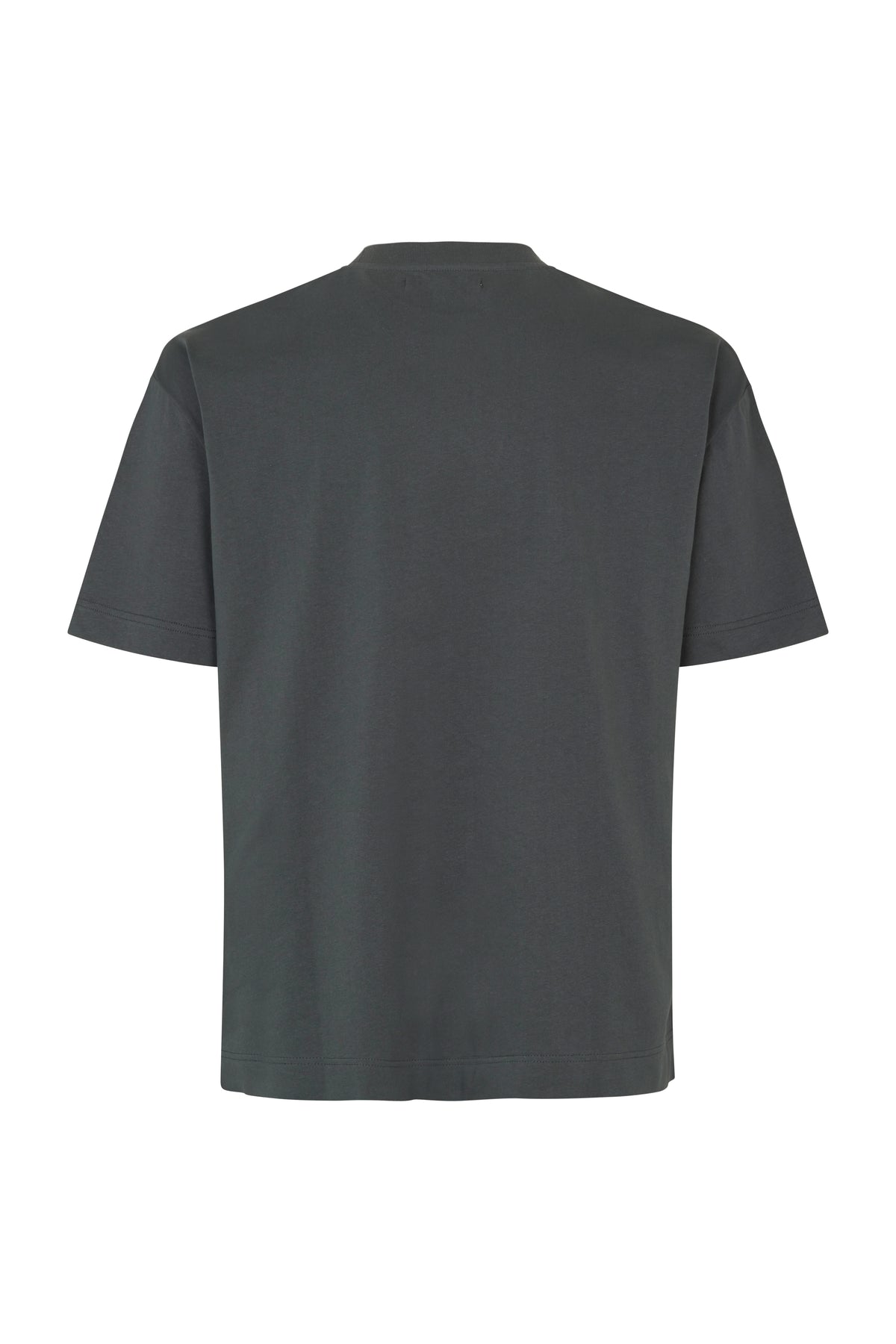 Joel T-Shirt - Volcanic Ash
