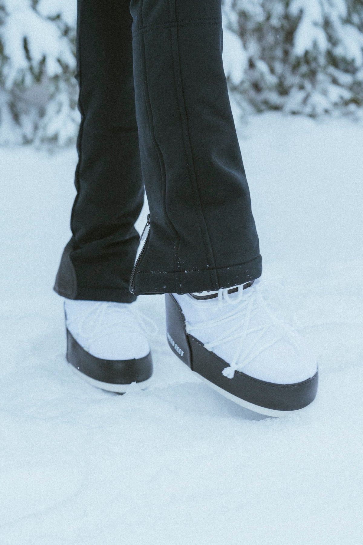 Icon Low Nylon - White