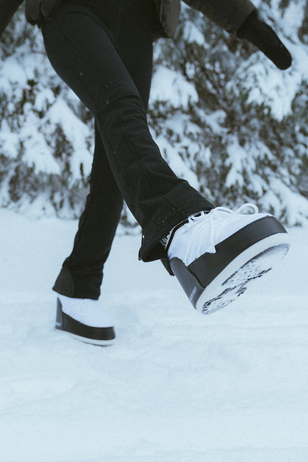 Icon Low Nylon - White