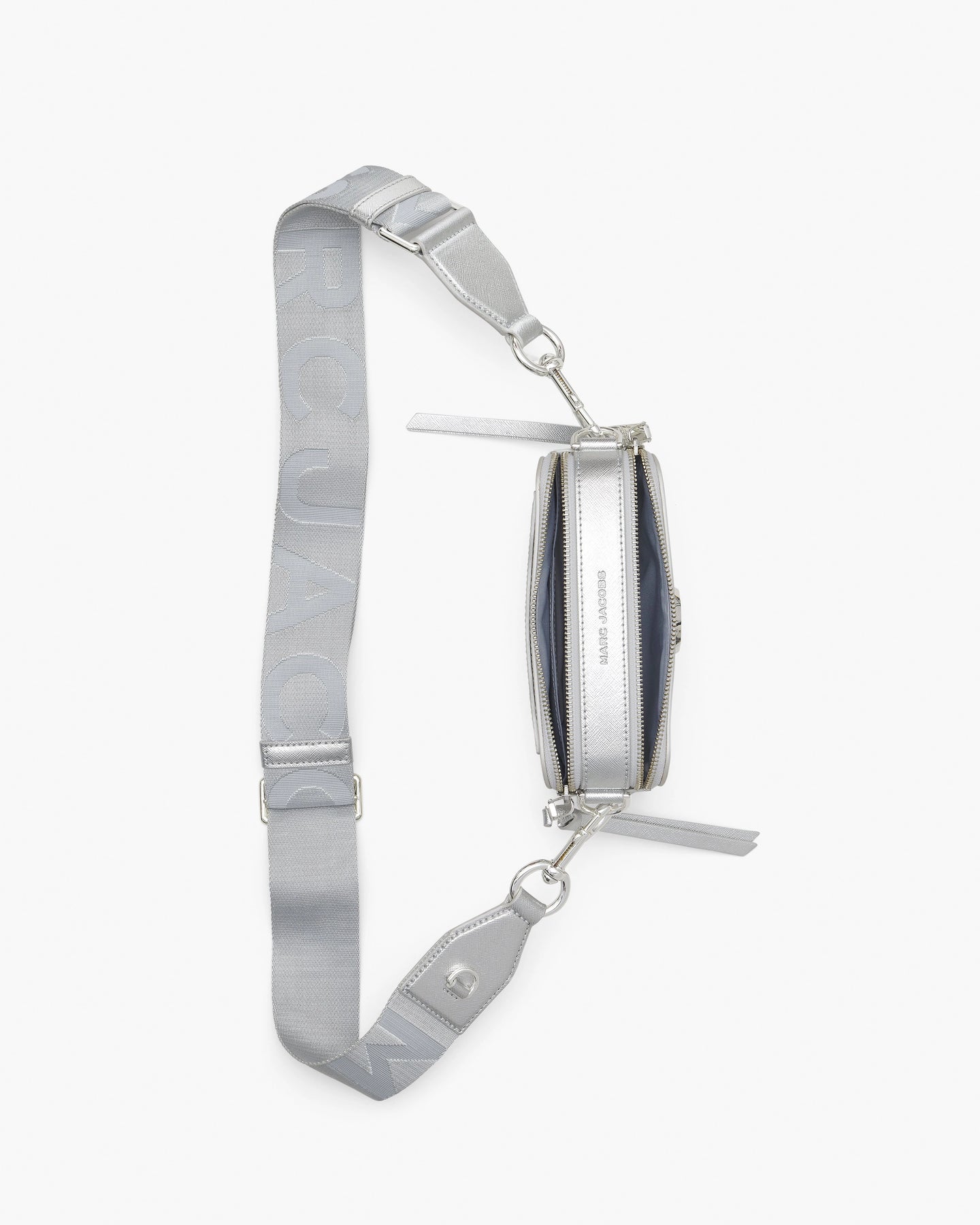The Snapshot - Silver